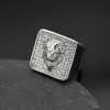Titanium Steel Hip-Hop Full Diamond Relief Inlay Lion Head Men's Ring - 图片 2
