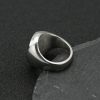 Ancient Egyptian Horus Eye Stainless Steel Ring, Pharaoh Eagle Head God's Eye Ring - 图片 2